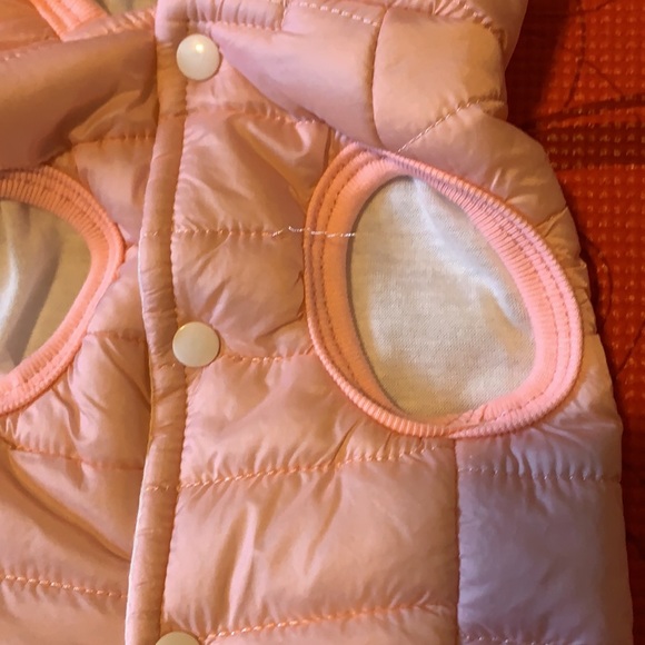 Adorable Puffy Doggie 🐶 Jacket in Pink - Picture 3 of 3